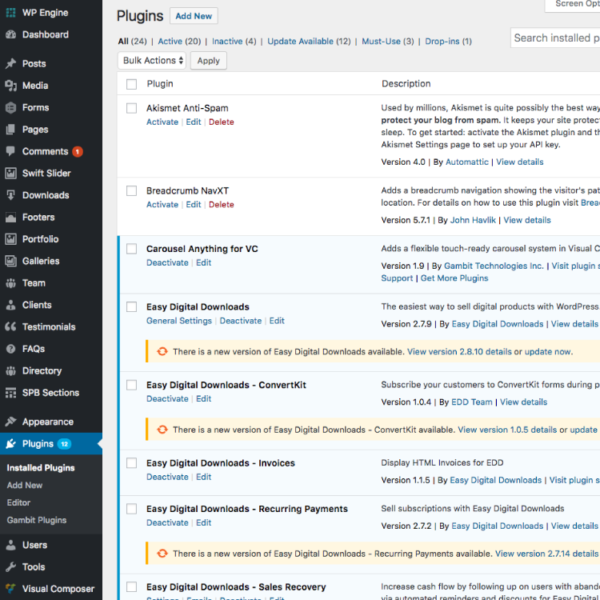 Theme & Plugin Updates - Viral Wolf: Inbound Marketing Agency